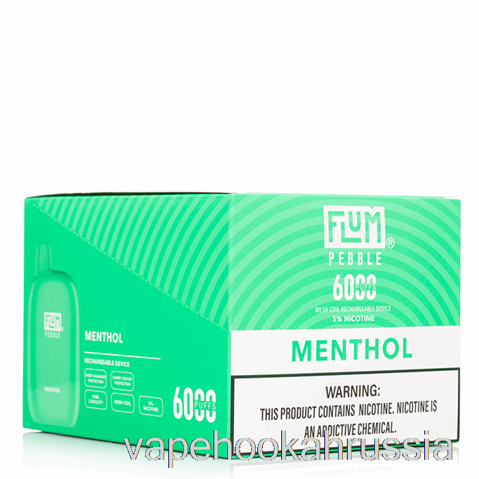Vape Russia [10 упаковок] Flum Pebble 6000 одноразовый